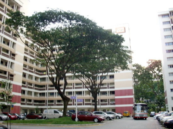 Blk 556 Jurong West Street 42 (Jurong West), HDB Executive #412012